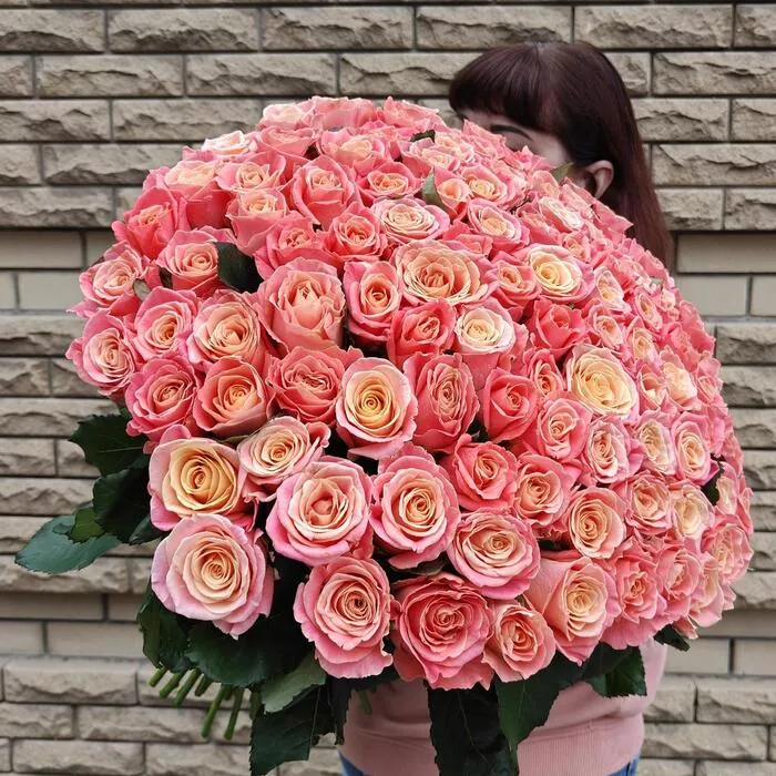 101 коралловая роза